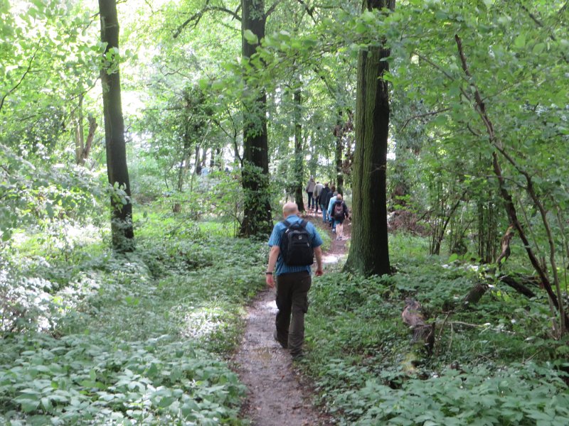 Auf dem Weg zur 2. potentiellen Grabungsstelle